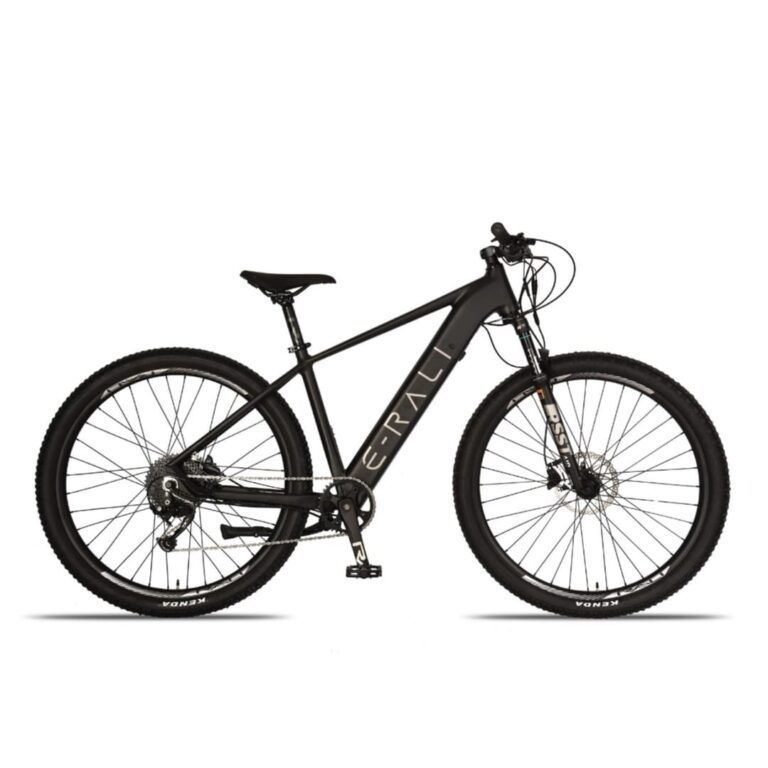 Bicicleta Eléctrica E-Rali 29 Pulgadas Negro