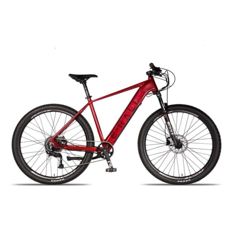 Bicicleta Eléctrica E-Rali 29 Pulgadas Rojo