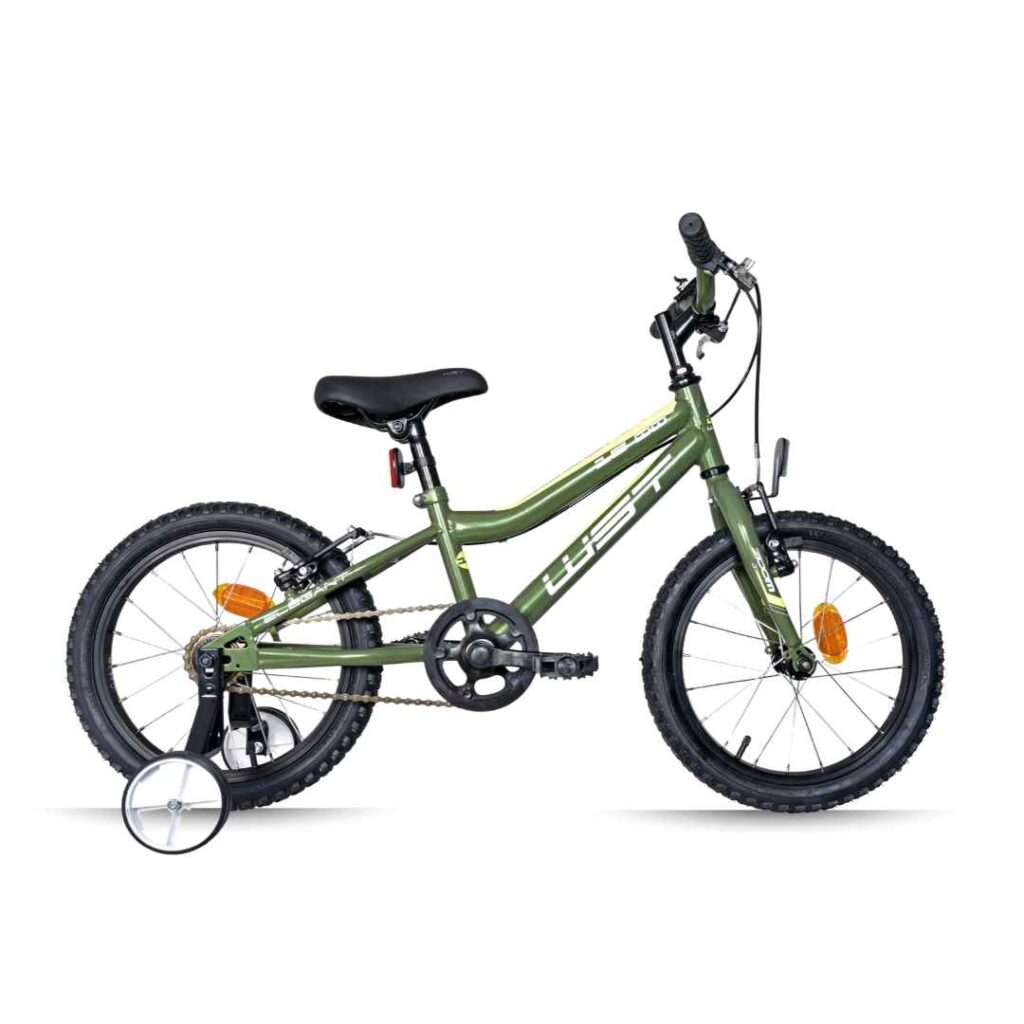 Bicicleta infantil WST Junior 16 Pulgadas Verde