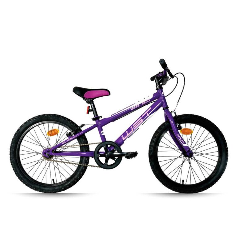 bicicleta-infantil-wst-junior-20-1-vel-violeta