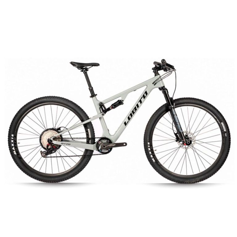 Bicicleta Lobito MT20R 29 Pulgadas Gris