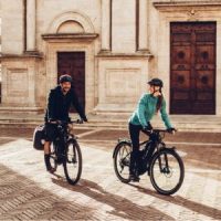 categoria bicicletas electricas