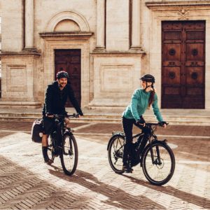 categoria bicicletas electricas