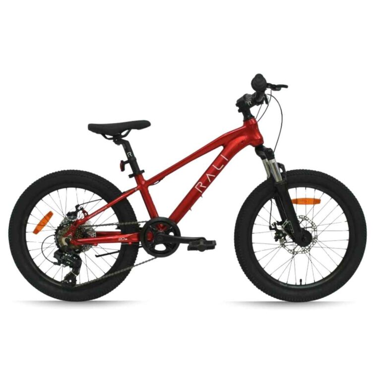 Bicicleta Infantil Rali Pro-0 20" Disco 7v Rojo
