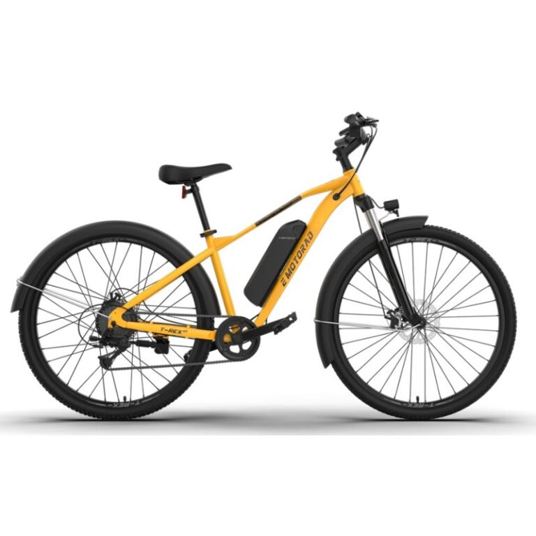 bicicleta-electrica-mtb-29-e-motorad-t-rex-air-2025