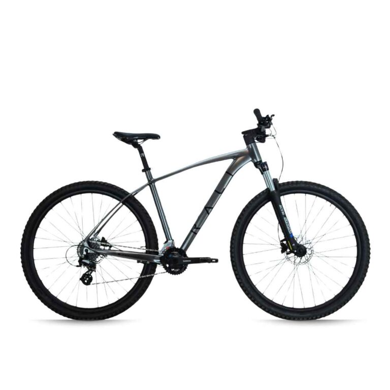 bicicleta-mtb-29-rali-s-pro-2x8v-plata-2026