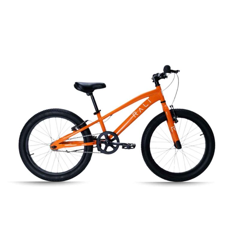 Bicicleta Infantil Rali Pro2 20 pulgadas 1v. Naranja
